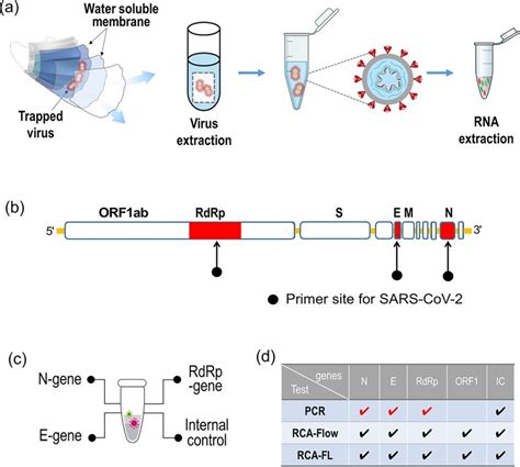 (A) Process of viral RNA extraction from a mask in exhalation including... | Download Scientific ...