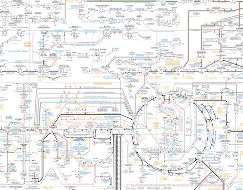 Biochemical Pathways Poster