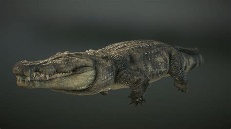 Crocodile technology 3d software - limfamf