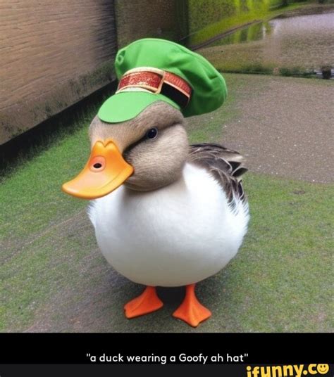 "a duck wearing a Goofy ah hat" - iFunny