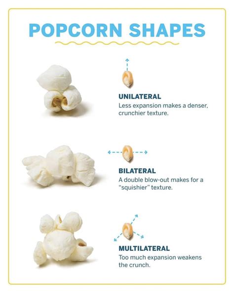 Popcorn Shapes : r/coolguides