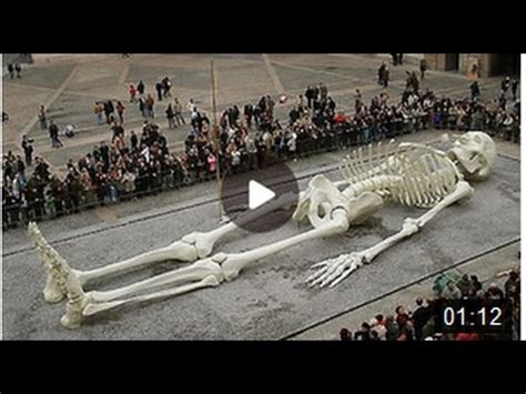 Biggest Human Skeleton In World Found In Greece – Otosection