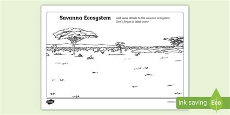 Savanna Ecosystem Worksheet (teacher made) - Twinkl