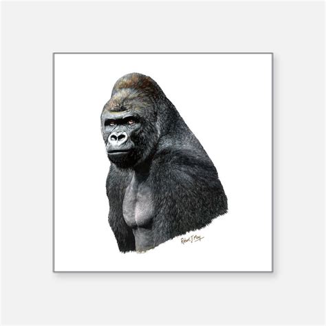 Gorilla Bumper Stickers | Car Stickers, Decals, & More