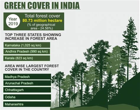 Shrinking Forest Cover in India, Government Reports Claim Otherwise