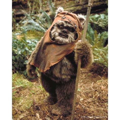 Wicket the Ewok 10x8 Photo signed by Warwick Davis – The Signature Shop