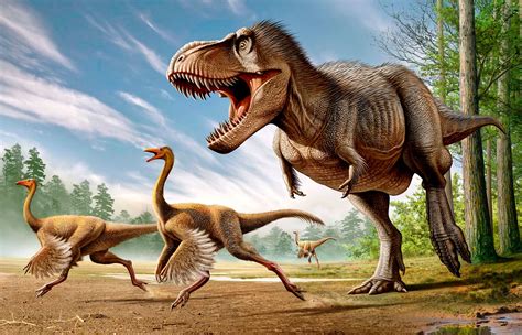 Did Dinosaurs Really Have Feathers? | Britannica