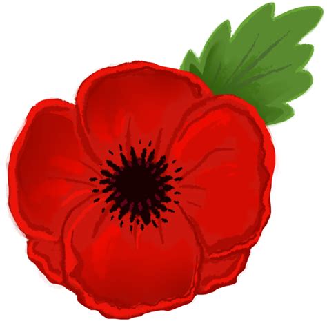 Poppy clipart ww1, Poppy ww1 Transparent FREE for download on WebStockReview 2024