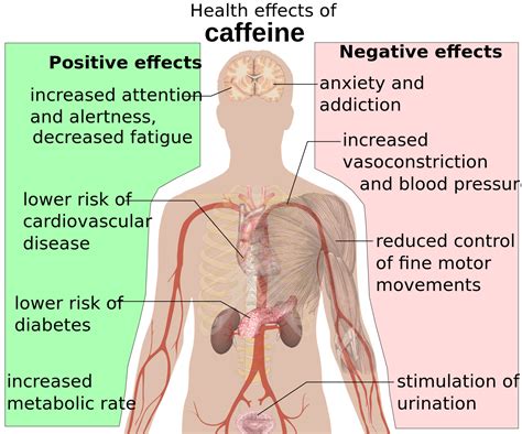 This is Your Body on Energy Drinks | Caffeine effects, Negativity, Health