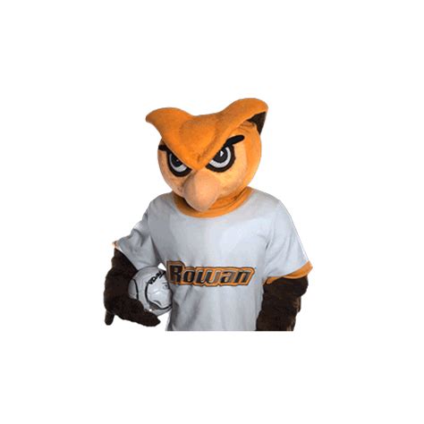 Ncaa Mascot Sticker by Rowan University for iOS & Android | GIPHY