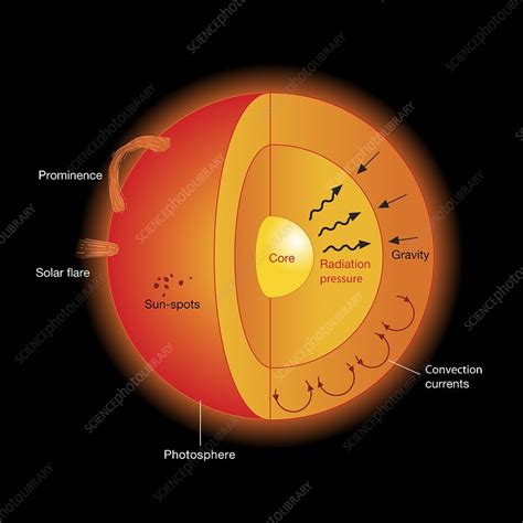 Sun structure, illustration - Stock Image - C050/7637 - Science Photo ...