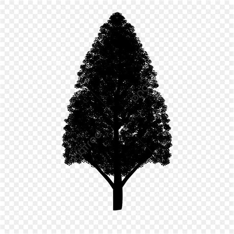 Black Pine Trees Silhouette PNG Free, Black Tower Pine Tree Silhouette, Pine Tree Clipart, Black ...