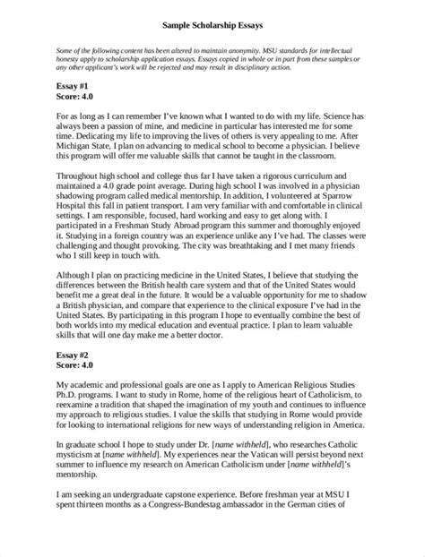 Scholarship Essay Format Template