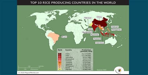 According to FAO Bangladesh ranks 4th in the top 10 in rice-paddy ...