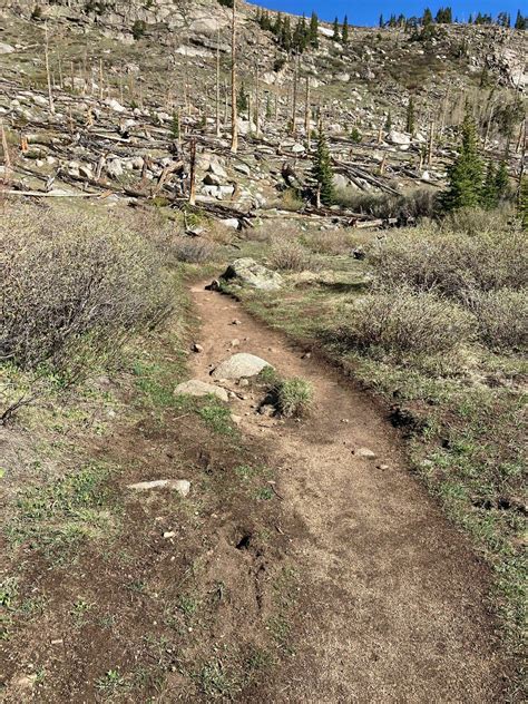 Photos of Echo Lake Trail - Colorado | AllTrails