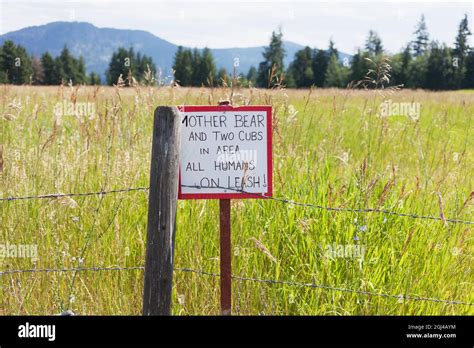 Bear in area sign, Sorrento BC Canada Stock Photo - Alamy