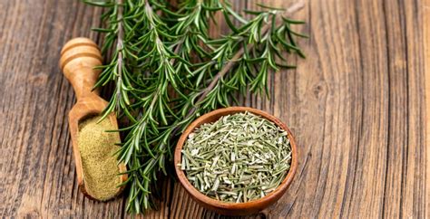 Rosemary Benefits, Uses, Side Effects, Interactions and More - Dr. Axe