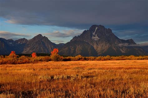 Golden Valley Photograph by Michael Morse