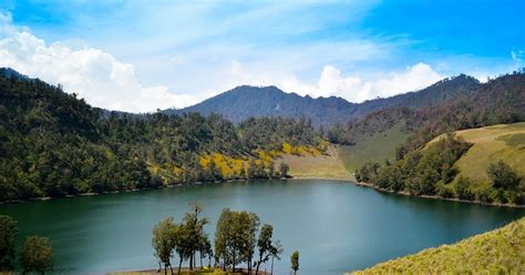 Camping Di Ranu Kumbolo, Semeru #4