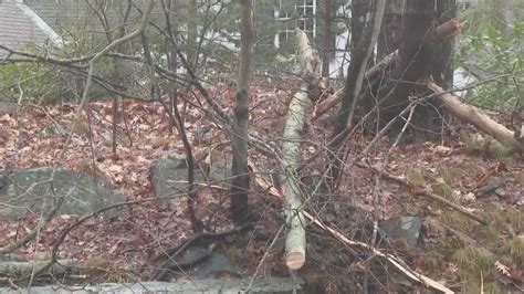 Power outages report, with statewide updates | newscentermaine.com