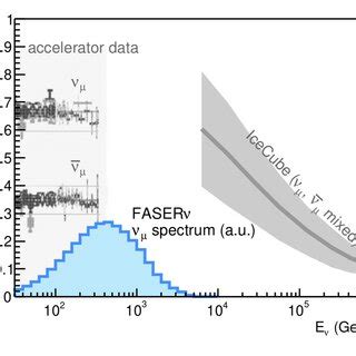 Past neutrino cross section measurements for electron-(left),... | Download Scientific Diagram