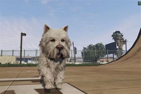 Grand Theft Auto 5: How to play as a dog in GTA V