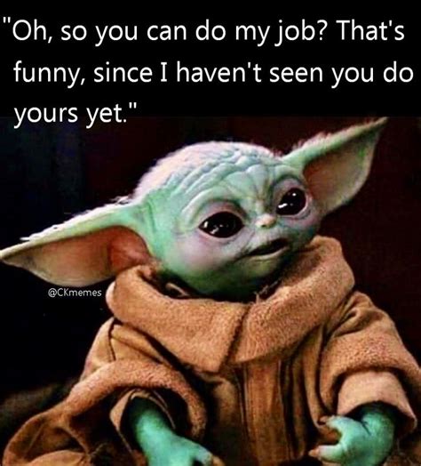 CKMEMES Yoda Meme, Yoda Funny, Funny Women Quotes, Work Quotes Funny ...