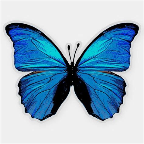 a blue butterfly with black spots on its wings