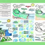 Water Cycle Worksheets (7 Free Printables)