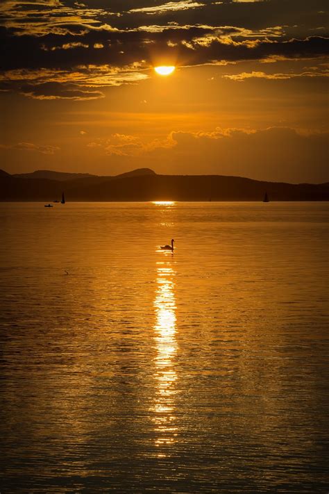 Lake Balaton Sunset Nature - Free photo on Pixabay