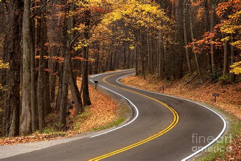 S-curve In Roadway Photograph by Anthony Totah