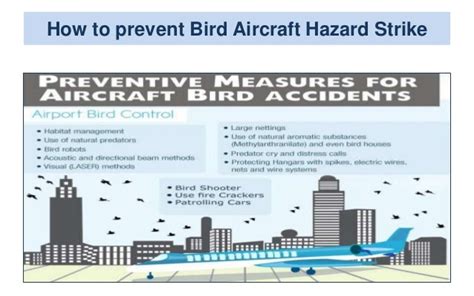 Bird Aircraft Strike Hazard PR Campaign - PCAA