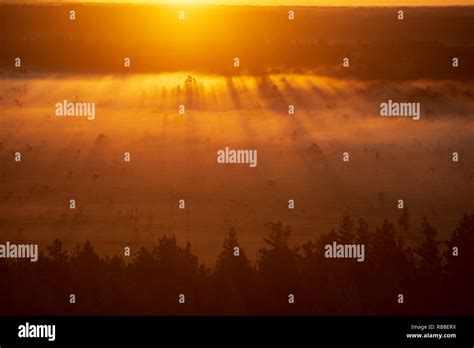 colorful misty sunrise over the forest with mist and light rays in fog Stock Photo - Alamy