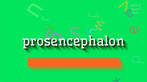 How to say "prosencephalon"! (High Quality Voices) - YouTube