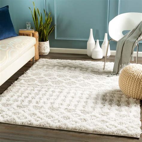 2024 Rug Trends - Cayla Nannie