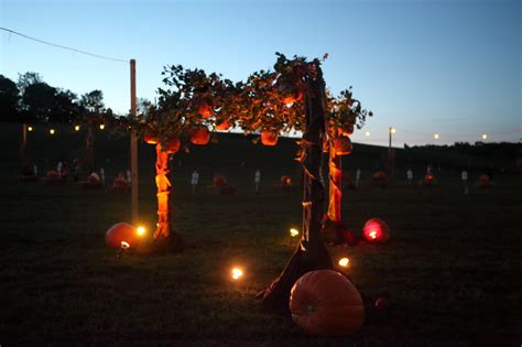 Pumpkin Patch Decorations Night - Hopewell Valley Arts Council