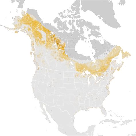 Common Loon - Abundance map: Post-breeding migration - eBird Status and Trends