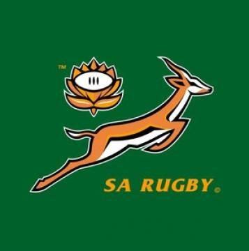 Bokke! https://www.facebook.com/LikeRugby | Rugby logo, South africa rugby, Springbok rugby