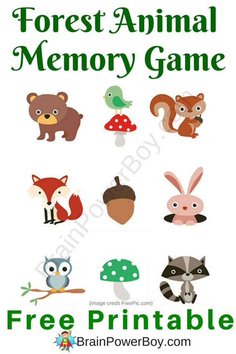 Cute Forest Animal Memory Game - Brain Power Family