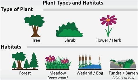 Plant Habitat and its Various Types