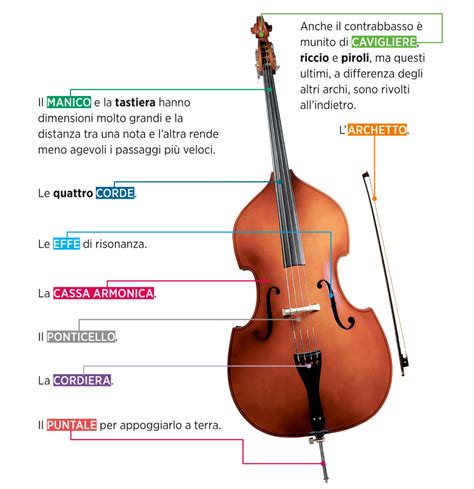 Contrabbasso – MUSICA MAESTRO!