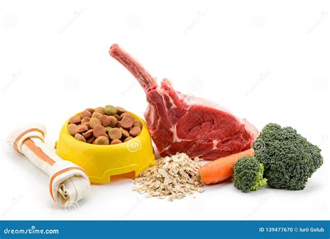 Different Pet Food and Ingredients Stock Photo - Image of background ...