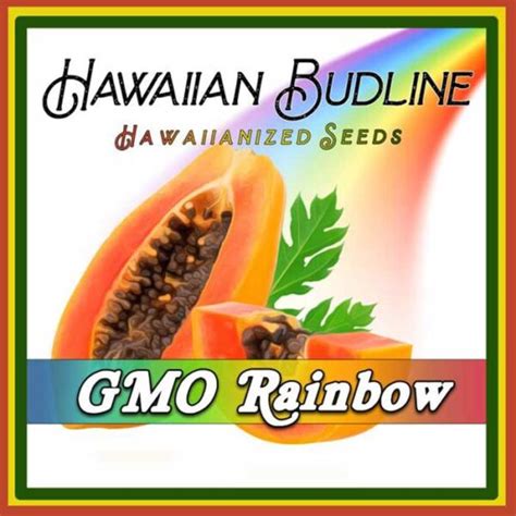 GMO Rainbow - Deep Green Genetics