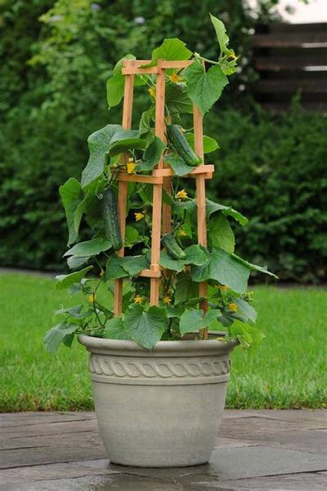 15 Stunning Container Vegetable Garden Design Ideas & Tips | Balcony ...