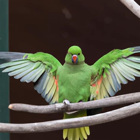 The Ultimate Guide to Green Parrots: Everything You Need to Know