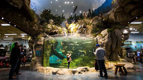 Man arrested after naked dive into aquarium at Alabama Bass Pro Shop ...