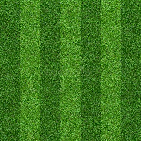 Soccer Field Grass Texture