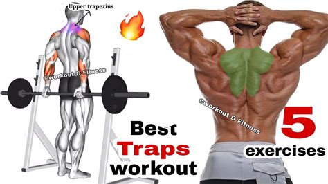 how to Build 3D traps / 5 workout for 3D traps - YouTube