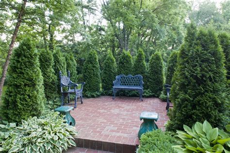 Fastest Growing Privacy Trees — PlantingTree