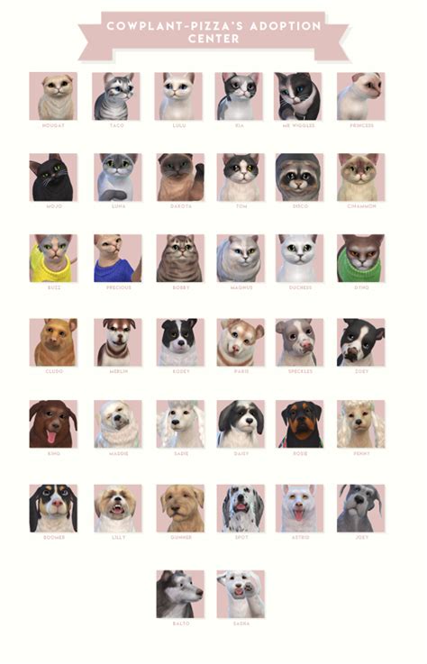 Pet Adoption Center, Dog Adoption, Sims 4 Pets, Jak & Daxter, Sims 4 Mm Cc, Best Sims, The Sims ...